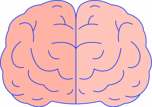 Graphic of a brain